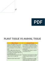 Plant Tissues