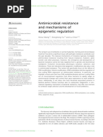 Antimicrobial resistance and mechanisms of epigenetic regulation