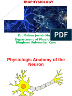 Introductory part of Neurophysiology, neurons, action potential and protections of the brain