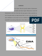 Genetics 1