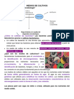 Identificación bacteriana 