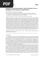 Aptamers and Glioblastoma Their Potential Use for Imaging and Therapeutic Applications