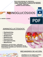 Aminoglucósidos Ultimas 20241124 154308 0000