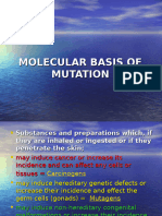 6. Molecular Basis of Mutation MBOD