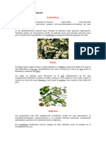 PLANTAS MEDICINALES