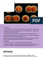 Cell Division