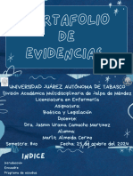 Portafolio de Evidencias.