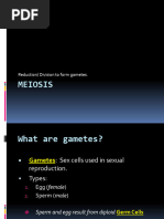 Meiosis 12.4 NOTES 2024