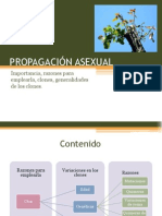 Propagacion Asexual