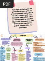 Gráfico de Línea de Tiempo Proceso Paso a Paso Moderno Infográfico Multicolor