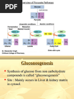 Gluconeogenesis