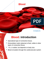 Blood & Immune System Anatomy