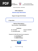 Contribution à la maîtrise statistique du processus d’épuration en utilisant la démarche DMAIC - Nada BASRAOUI