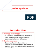 Introduction to Muscular system