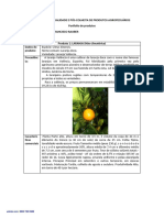 TRABALHO_CONTROLE DE QUALIDADE E POS-COLHEITA DE PRODUTOS AGROPECUARIOS