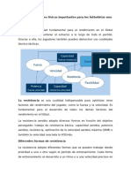 Las habilidades físicas son importantes para los futbolistas por varias razones