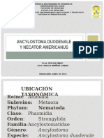 7. ANYCLOSTOMA DUODENALE Y NECATOR AMERICANUS