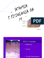 Aula - Anatomia Da Pele