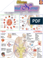 776. Cranial Nerves (Neuroscience)