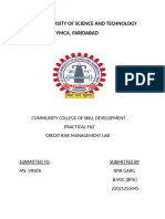 Credit Risk Management (1)