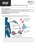 Guía de monitoreo OA 8 y repaso de terminología científica