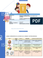 MODELO DE CUADRO COMPARATIVO DEL CEREBRO 