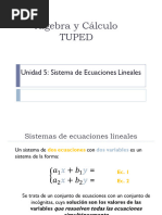 Teoría Sistema de Ecuaciones Lineales