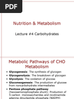 Lecture #4 Carbohydrates