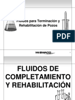 12 Fluidos para Terminación y Rehabilitación