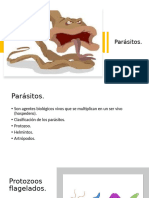 Parásitos