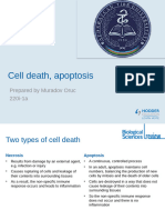 Cell Death Patanat