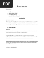 PDF Documento