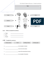 Our Bodies Grad Worksheet