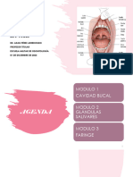 6. CAVIDAD BUCAL