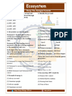 Ecosystem DPP -2