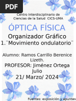 organizador óptica física