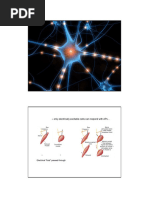 Unit 02 - Neurophysiology (2)