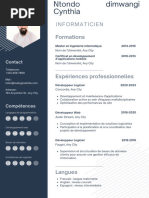 CV Professionnel Informatique Photo Moderne Gris Sobre_20241003_161602_0000-4