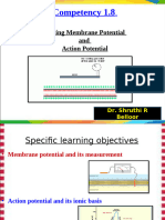 Action Potential Ionic Basis - Student File