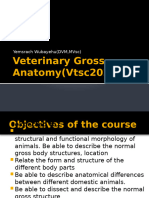 Grossanatomy Chp1,2&3