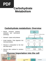 Carbohydrate Metabolism_Part 1