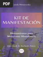 de45e4580f3b416f9dc52b4766557c88-KIT-DE-MANIFESTACION