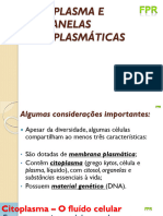 Slides de Citoplasma