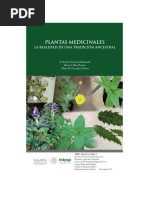 Plantas medicinales