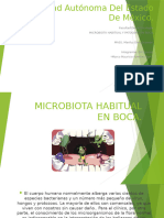 MICROBIOTA HABITUAL EN BOCA