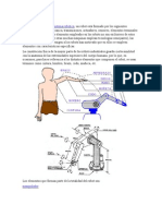 Efectores y Precision