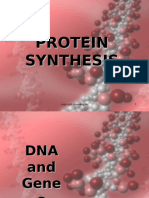 Protein Synthesis2 Ppt