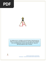 INFORME TOPOGRAFIA PICALEÑITA