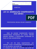 3 - Lei Da Segregação Independente Dos Genes