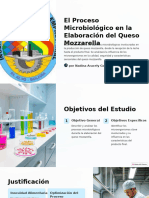 El-Proceso-Microbiologico-en-la-Elaboracion-del-Queso-Mozzarella